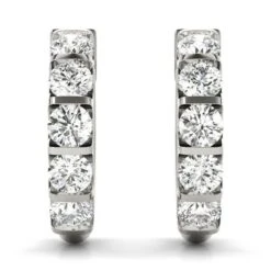 Special Elegant Hoop Earrings 2.0Ctw(Diamond Earrings 1o2993yg14)