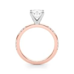 Station 3 Stone Setting(Station 3 Stone Setting 2927) -NEWWORLD DIAMONDS 51251 E.ov .side .alt1