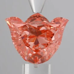 3.6Ct Vivid Pink VS1 IGI Certified Tulip Lab Grown Diamond(Diamond 24 698550801)