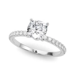 Robin Setting(Robin Traditional Diamond Accent Engagement Ring)
