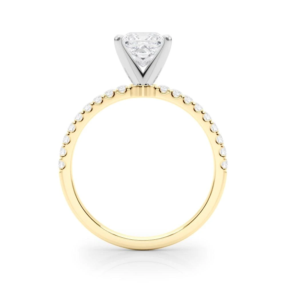 Robin Setting(Robin Setting 1o2631) 7 Robin Setting(Robin Setting 1o2631) - Image 5