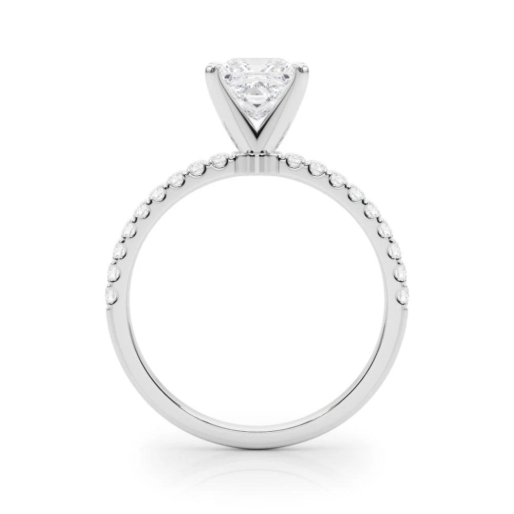 Robin Setting(Robin Setting 1o2631) 5 Robin Setting(Robin Setting 1o2631) - Image 3