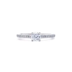 Daisy Setting(Diamonds Ring S453871)