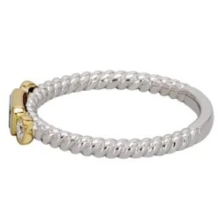 Dinah Ring - 1/3 Ct. T.W.(Silver Gold Diamond Ring 457367) 15 Dinah Ring - 1/3 Ct. T.W.(Silver Gold Diamond Ring 457367) -NEWWORLD DIAMONDS dinah ring 13 ct t w for ring gemstone jewelry 4