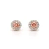Heather Earrings 1.00Ctw(Diamond Earrings 456096)