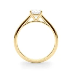 Michelle Solitaire Setting(Michelle Solitaire Setting 2726) 13 Michelle Solitaire Setting(Michelle Solitaire Setting 2726) -NEWWORLD DIAMONDS michelle solitaire setting at new world diamonds for settings 5 26300199501877