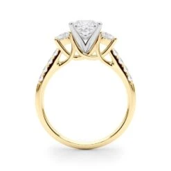 Tina 3 Stone Setting(Tina 3 Stone Diamond Ring 2841pc) 12 Tina 3 Stone Setting(Tina 3 Stone Diamond Ring 2841pc) -NEWWORLD DIAMONDS tina 3 stone setting at new world diamonds for settings 3 26299194376245